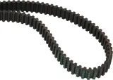 pas-zebaty-m150718