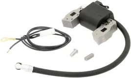 cewka-zaplonowa-briggs-and-stratton-397358