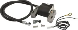 cewka-zaplonowa-briggs-and-stratton-398811