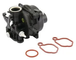 gaznik-591160-briggs-and-stratton
