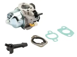 gaznik-797283-briggs-and-stratton