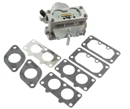 gaznik-791230-briggs-and-stratton