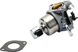 gaznik-594593-briggs-and-stratton