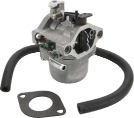 gaznik-590399-briggs-and-stratton