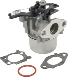 gaznik-799479-briggs-and-stratton