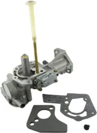 gaznik-498298-briggs-and-stratton