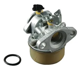 gaznik-492499-briggs-and-stratton