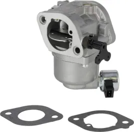 gaznik-596033-briggs-and-stratton
