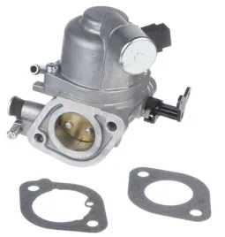 gaznik-594207-briggs-and-stratton