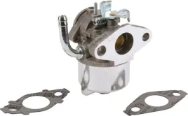 gaznik-593357-briggs-and-stratton