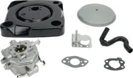 gaznik-846082-briggs-and-stratton