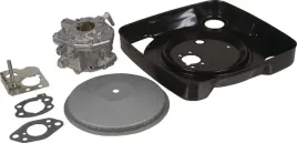 gaznik-846109-briggs-and-stratton