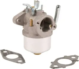 gaznik-594015wm-briggs-and-stratton