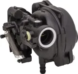 gaznik-597269-briggs-and-stratton