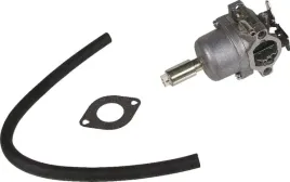 gaznik-590400-briggs-and-stratton