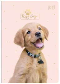 zeszyt-a5-32k-kratka-70g-puppy-sign-interdruk