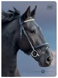 zeszyt-a5-32-kartki-kratka-70g-wild-horses-interdruk