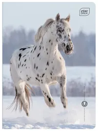 zeszyt-a5-16-kartek-kolorowa-linia-70g-wild-horses-interdruk