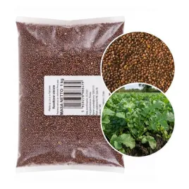 rzodkiew-oleista-1kg-nasiona-poplon-miedzyplon-nawoz-zielony-planta