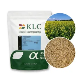klc-gorczyca-biala-gracja-1kg-nasiona-kwalifikowany-c1