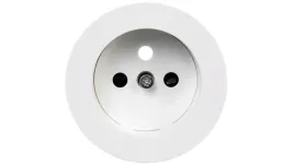 berker-r-classic-plytka-czolowa-do-gniazda-z-uziemieniem-bialy-3965792089