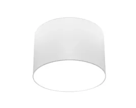plafon-lampa-sufitowa-nowoczesna-cameron-iii-9684-nowodvorski