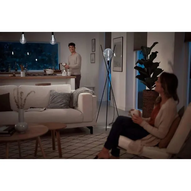 zarowka-led-e27-4000k-65w-philips