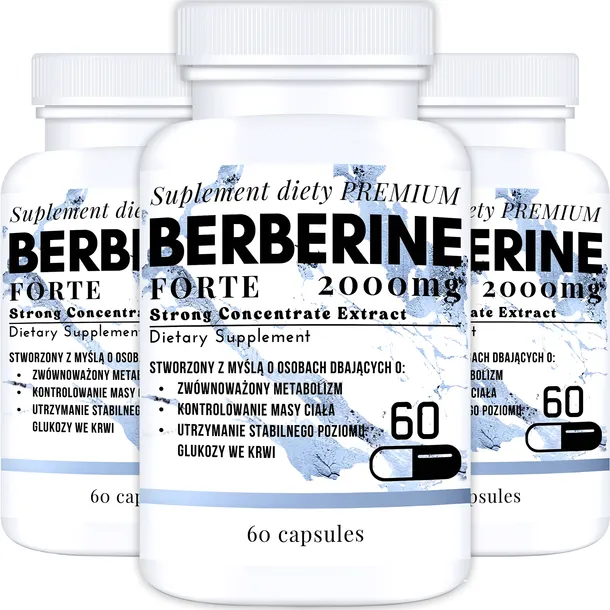 BERBERYNA 2000MG EKSTRAKT ODCHUDZANIE CUKRZYCA GLUKOZA INSULINA DER 60 CAPS