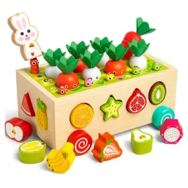2x-sorter-drewniany-farma-mocny-box-ukladanka-edukacyjna-rozwijajaca-motory