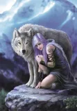 2x-puzzle-clementoni-anne-stokes-protector-1000-elementow-stan-nowy