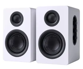 2x-glosnik-silver-monkey-sp-250-classic-white