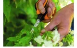 nozyczki-solid-sp15-1051602-fiskars