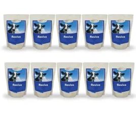 trouw-nutrition-reviva-pojlo-dla-krow-mlecznych-10-x-1-kg