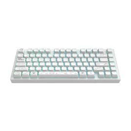 2x-klawiatura-mechaniczna-bezprzewodowa-terra-nova-white