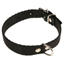 obroza-dla-psa-tasma-32cm-16cm