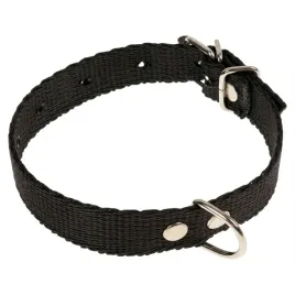 obroza-dla-psa-tasma-32cm-16cm