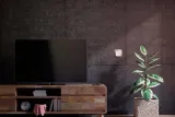 2x-czujnik-temperatury-blebox-tempsensorac-v2-wifi-api-zasilanie-sieciowe