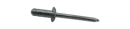 1237076-nit-4-8x12mm-mocowanie-slizgu-zderzaka-oryginal-oe-ford-focus-kuga