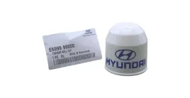 e699999000-kapturek-oslona-haka-oryginal-oe-hyundai