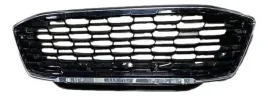 2456979-grill-atrapa-kratka-oryginal-oe-ford-puma-2019-