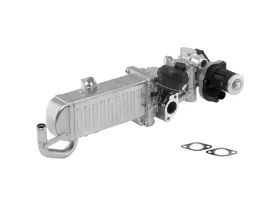 zawor-egr-borg-warner-wa710861d