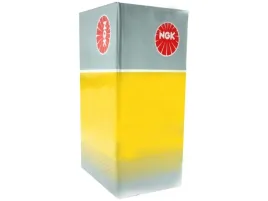 czujnik-obrotow-walu-korb-fiesta-v-01-ngk