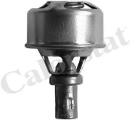 termostat-cieczy-chlodzacej-calorstat-by-vernet-th4495-83