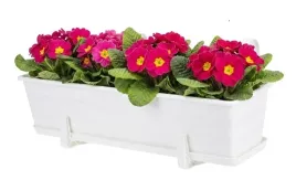 skrzynka-balkonowa-doniczka-prostokatna-z-podstawka-uchwytami-60-cm-biala