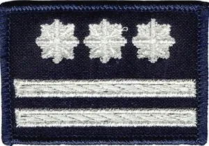 Policja dystynkcja stopień inspektor naszywka 6x4 cm rzep