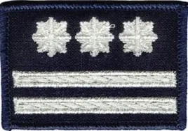 policja-dystynkcja-stopien-inspektor-naszywka-6x4-cm-rzep