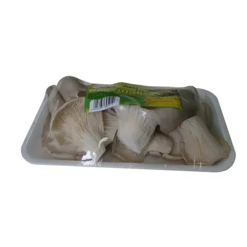 boczniak-polska-250g-waga-0-26-g