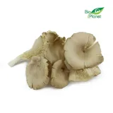 boczniak-polska-250g-kod-producenta-5903263395010