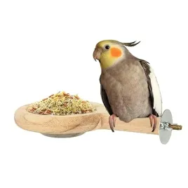dla-ptakow-z-kubkiem-do-karmienia-ptakow-ptakow-kubkiem-karmienia-ptakow