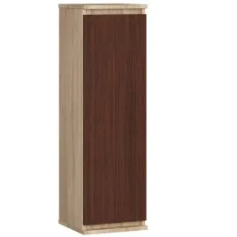 witryna-do-salonu-30-cm-pionowa-dab-sonoma-wenge